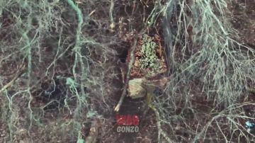 ������ ��λ ���������� ������� ������