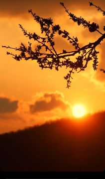 ��������� ������������ 31 ����� � ��� �� ���� 9 �������� ����� �� 21 ������� ����� ����, ��������� ��������������� �����, ����� � ����� ������� �����