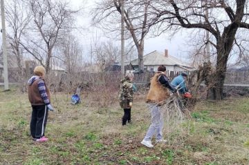 �� ���������� ���������� ����������� ������� ���������