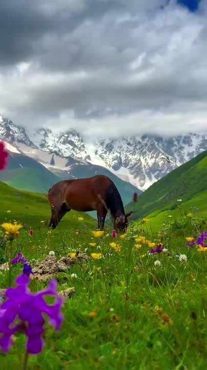 С добрым утром, жители Новоайдарского округа! Всем отличной трудовой недели!