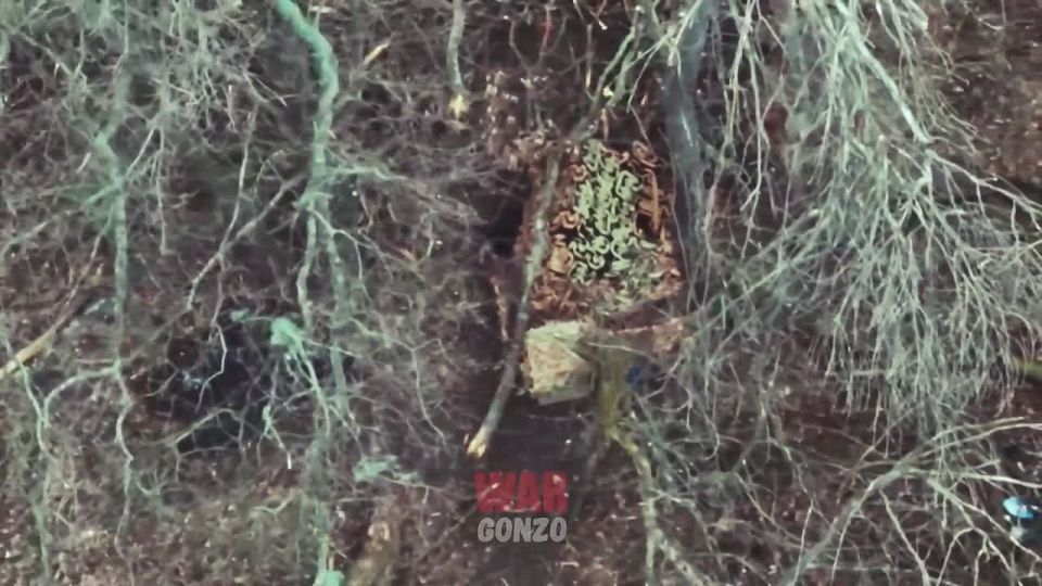 ������ ��λ ���������� ������� ������