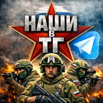 Свои люди — свои каналы.. Проверенные авторы и живой контент