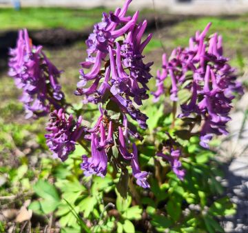 ������ ����, �������!. ������ ���� �������� ���, ����������� ���������� � ������� ������! @agklnr #�������