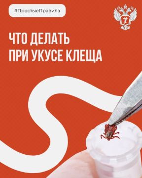 #ПростыеПравила: Что делать при укусе клеща?