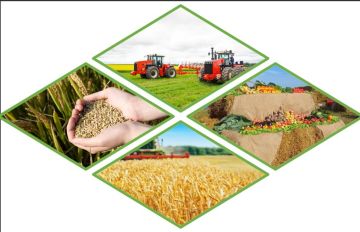 �������� ������������� �������������������� �����������