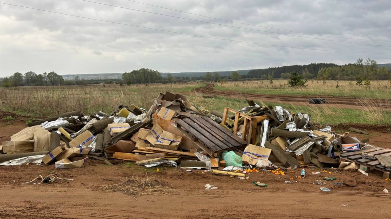 Стихийные свалки: последствия и ответственность