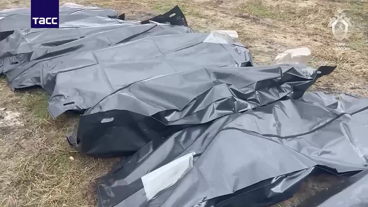 В ЛНР извлекли 12 тел мирных жителей, погибших из-за украинской агрессии, в месте массового захоронения, сообщили в СК РФ