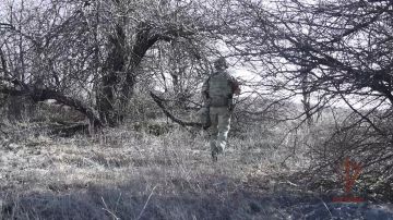 На детской площадке в ЛНР найдены боеприпасы