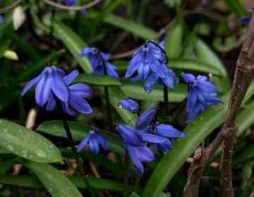 ��������� ������������ 1 ������ � ��� �� ���� 7 �������� ����� �� 21 ������� ����� ����, ������� ��������� ��������������� �����, �����, ����� � ����� � ��������� ������� ����� � �����-������ �������� ���������� ��� ������...