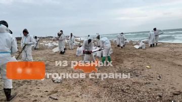 Сила в единстве. Регистрируйся на Международную Премию #МЫВМЕСТЕ В этом году: