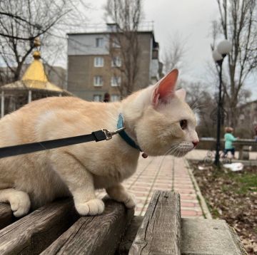 1 апреля на территории Луганской Народной Республики будет облачно с прояснениями