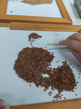 ����� ����������, ������ ���������: � ��� ��������� �������� ��� 2026