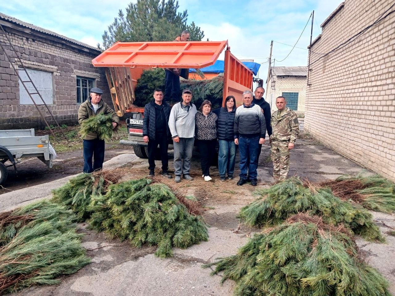 Херсонская область передала Луганской Народной Республике 60 тысяч сеянцев сосны Крымской