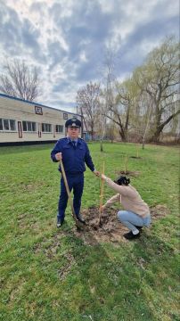 �������� ��������-���������� ������ ������ ������� � �����