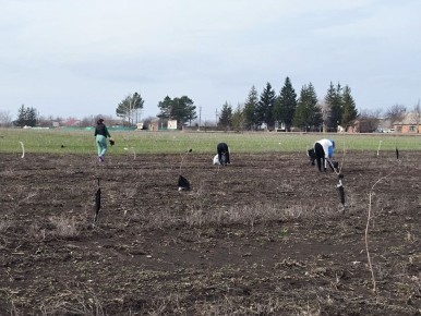 � �������� ������������� ������ ������ ����� ���������������