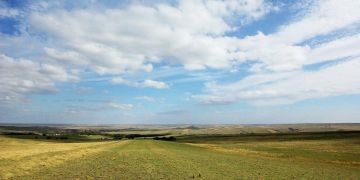 Открыт прием заявок на участие во Всероссийском конкурсе детского рисунка «Красота в глазах смотрящего»