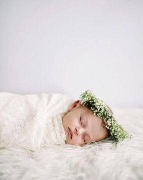 79 ������� �������� � ���. � ��������� �������� ���������� � ������ � 23 �� 29 ����� ��������� �� ���� 79 �������������