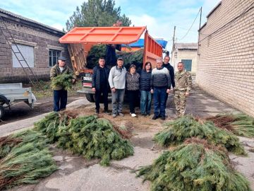 Херсонская область передала Луганской Народной Республике 60 тысяч сеянцев сосны Крымской