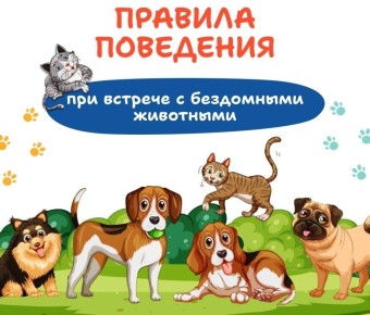 ��������� ������ ������������� �������������� ������!