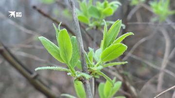 ������ ����!. ���� �� �����, ������� ������������ ��� ���� �������� ���������� ���� � �������� ������� ������