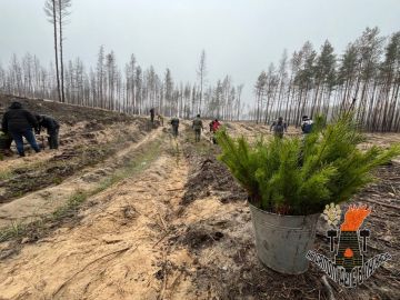 ��� ������ ����� ��������������� ���� ���������