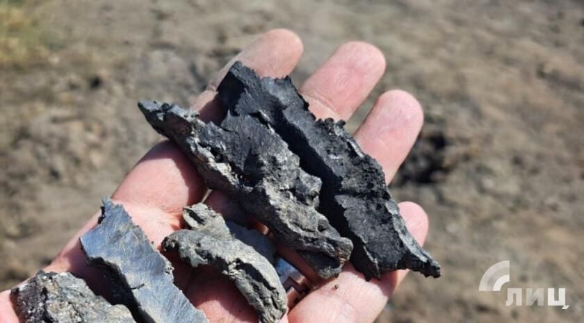 �������� ������� � ��� ���� ��������� ������������� ���� �� ���������� ���