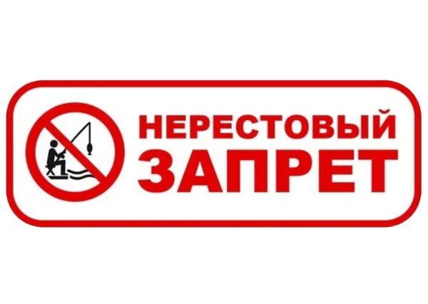 � ����������� ��������� ��� ������ ������ ����������� ������ �� ���������� ���