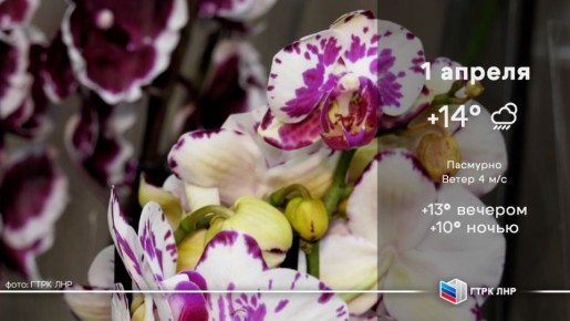 ������ ����, ��������� �������� ����������!