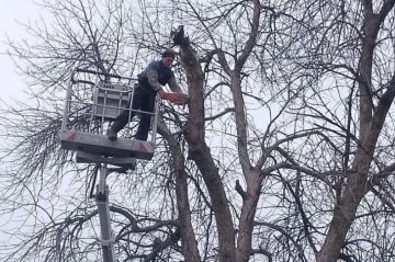 � ������������ ������ ������������� �������� �� ����� ��������������� ������ � �� ���������� �������