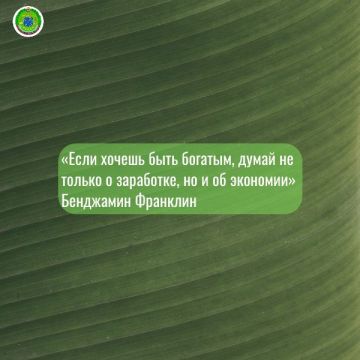 МинфинЛНР в МАХ. #цитата_финансы