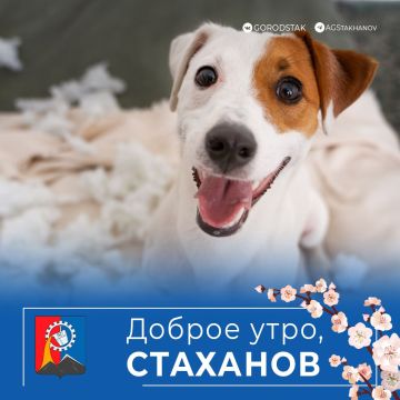 ������ ����, ������ �����!