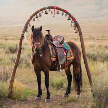 �����, ���� � ������: ��� ������ ������� ����������