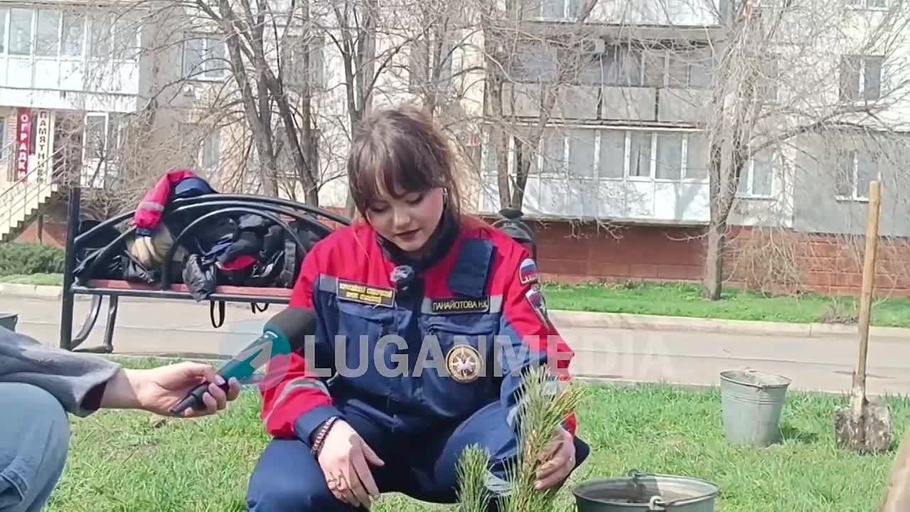 Краснодонцы присоединились к международной акции «Сад памяти»