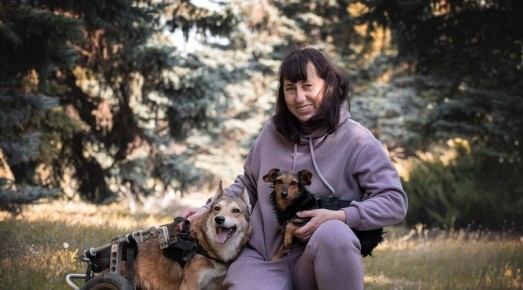 ��������� ����� �������� �������� ������������ ��������� �������� � �������