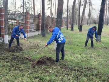 �������� ������ ���: ���������� � ��������������� ������ ������� � �����-�������������������� �����