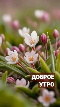 � ������ �����!. ������� 2 ������, �������! ����� ���� ���� ����� ��� ��� ������! ������� � ������: