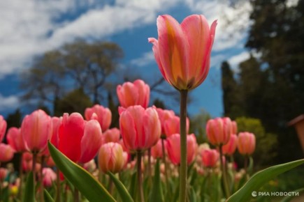 ������ �� ����� ����������� ������