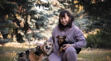 ��������� ����� �������� �������� ������������ ��������� �������� � �������