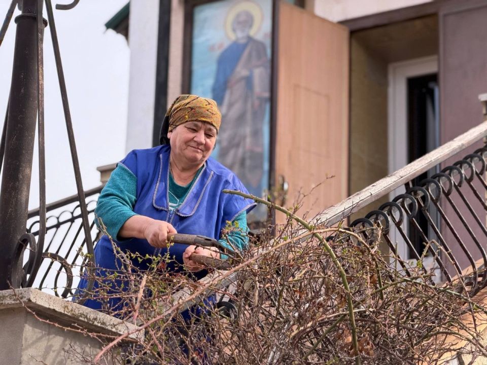 ������ �������: �����-�����-���������� ���� ������������� � ���������� �������� ��������� �����