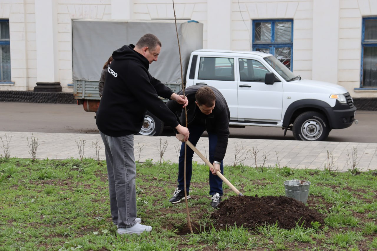 Антрацит и Ставрополье в рамках акции «Сад Памяти» высадят более 200 деревьев