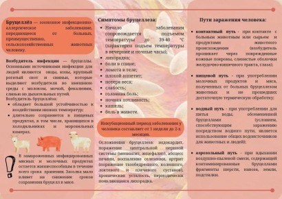 ��������� - ������� ��������!