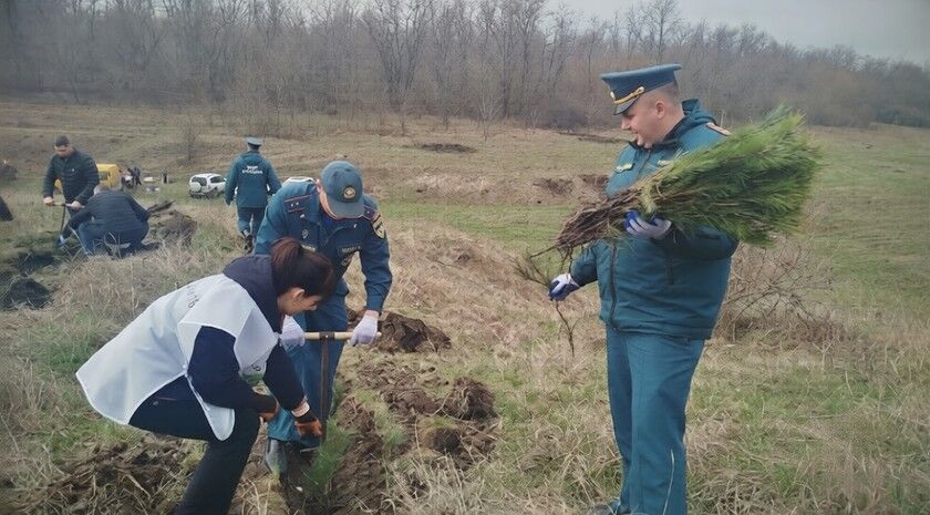 �� ����� ������ ���. ���� �������� � ������������� ������ � ������ ����� ���� ������