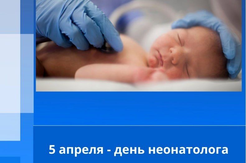 ��������, 5 ������ ���� ���������������� �������� �������� ����������� � ������ ����� � ����� ���������� ��������