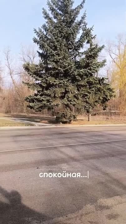 ������ ����! �������, 4 ������