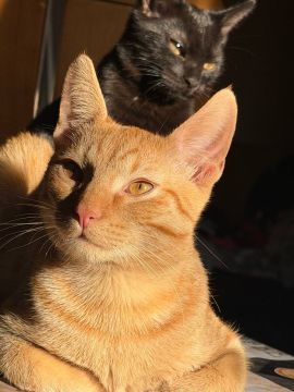 5 апреля на территории Луганской Народной Республики будет облачно с прояснениями