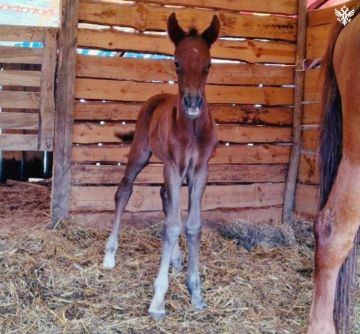 �����������: �������! � ���������� ������ ����� ������� ���������