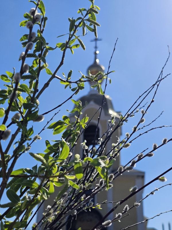 ������ �������: �������� ���������� ���� ������������ �������� � ������� � ������� ���������� � ������� ������������!