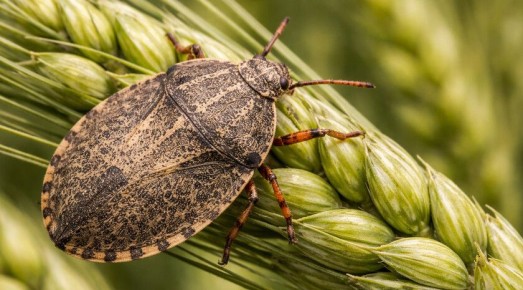 ��������������� ������������ �������� ���������� � ������ �������� �� ����������