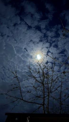 Синоптики прогнозируют 6 апреля в ЛНР от плюс 1 градуса ночью до 18 градусов тепла днем, местами ночью ожидаются заморозки до минус 2 градусов