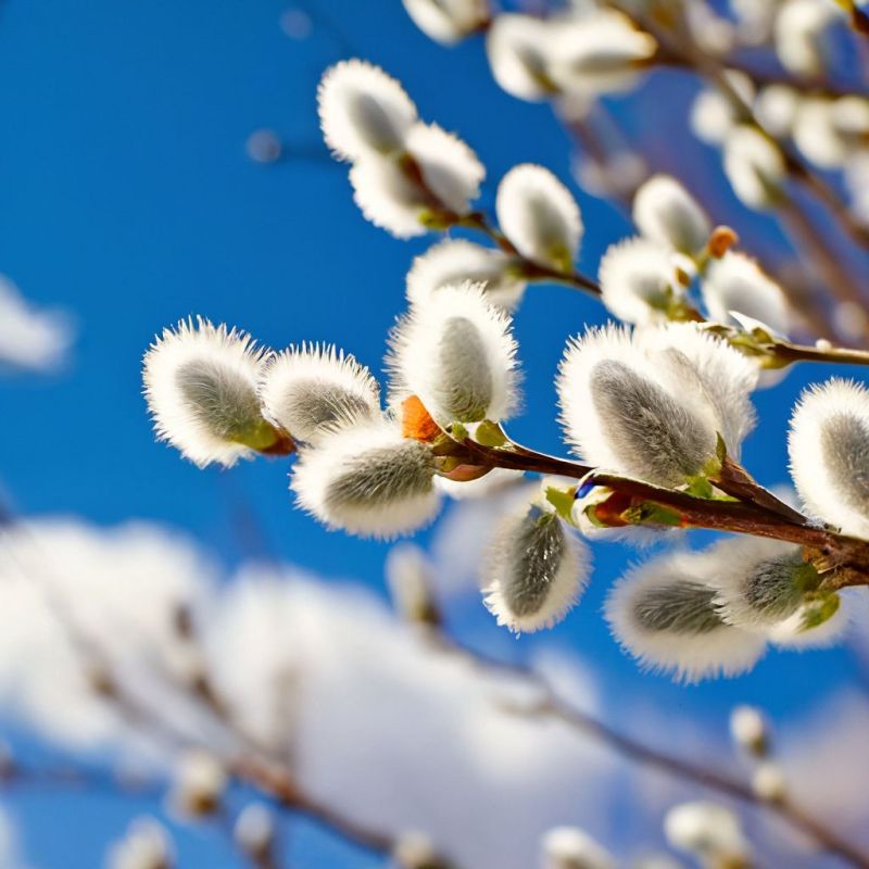 ������� �����: � ������� ������������, ������!